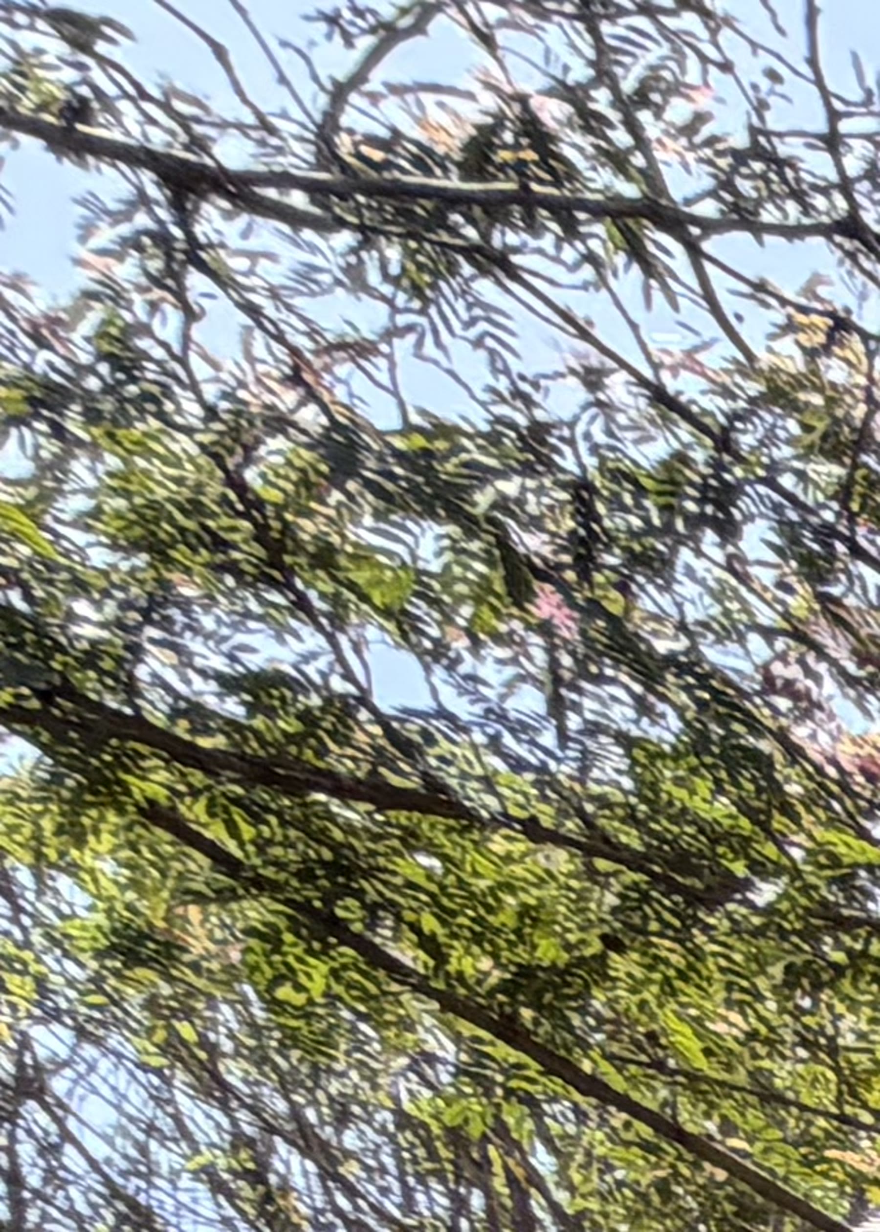 טאבון אבן וסטנד — פרויקט יאיר אלוני · השרון · 02