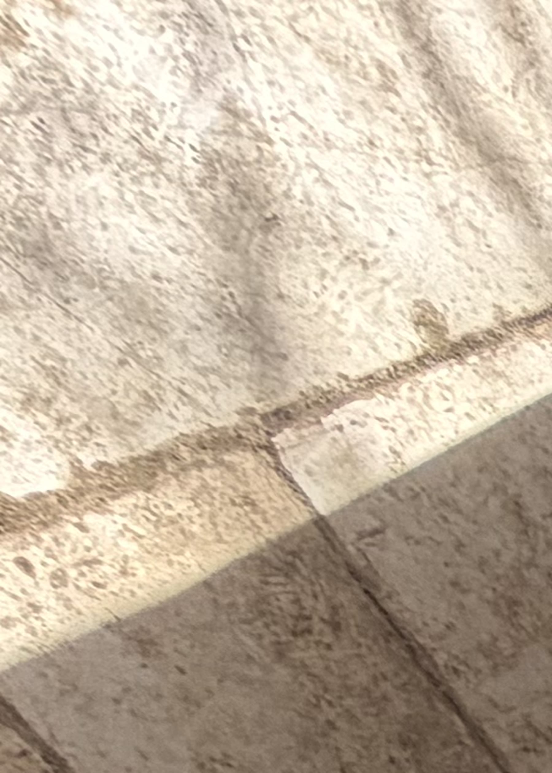טאבון אבן וסטנד — פרויקט יאיר אלוני · השרון · 06