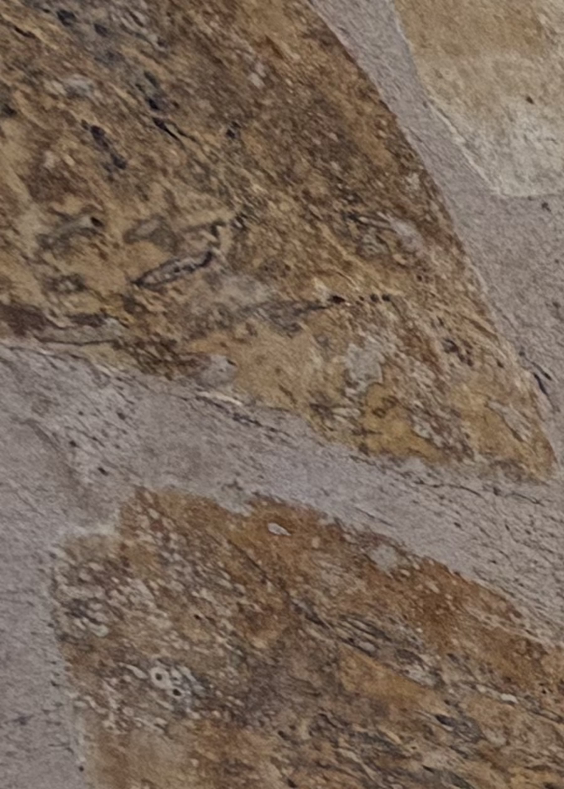מטבח חוץ עם גריל ארגנטינאי — יוני סיטון · מרכז · 02