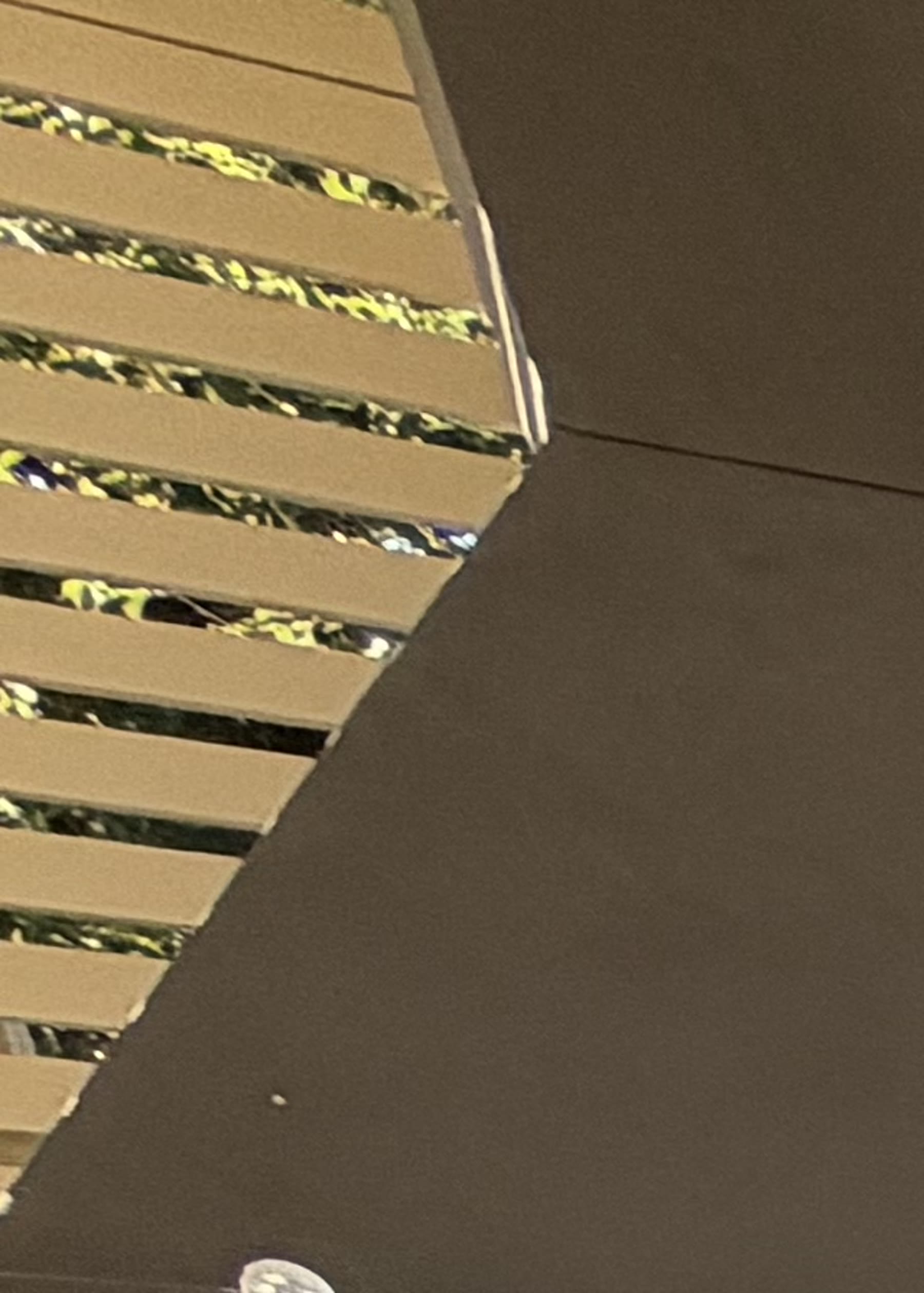 מטבח חוץ עם גריל ארגנטינאי — יוני סיטון · מרכז · 05