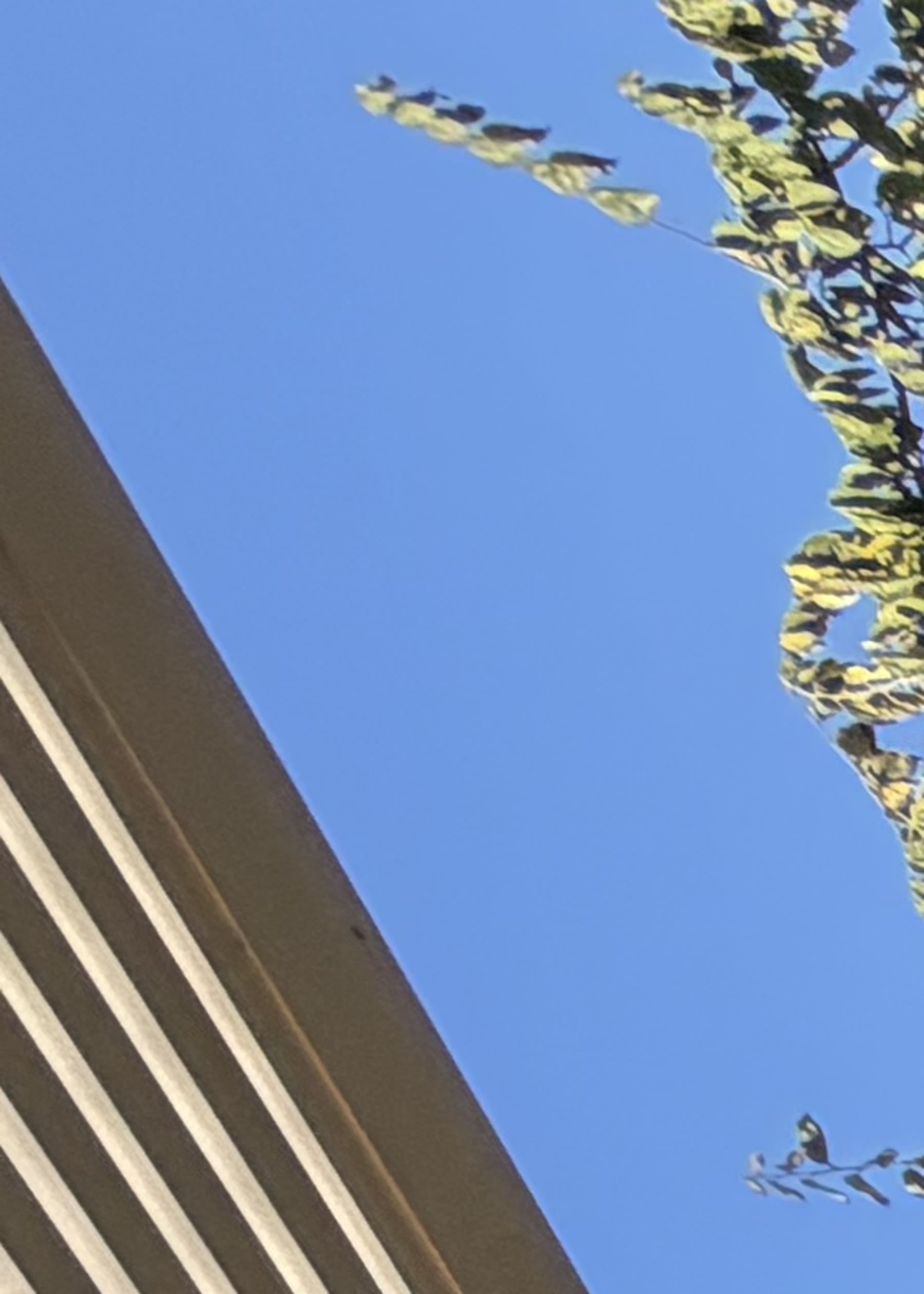 מטבח חוץ עם גריל ארגנטינאי — יוני סיטון · מרכז · 06